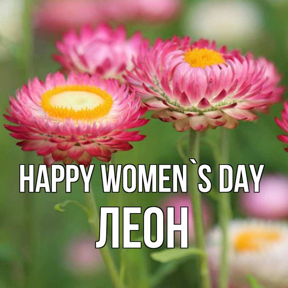 Greetings card с именем, Леон happy women`s day подарок на международный женский день Greetings with text for free download 